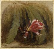 William Sidney Mount Cactus in Blossom oil painting